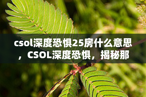 csol深度恐惧25房什么意思，CSOL深度恐惧，揭秘那些令人头疼的BUG