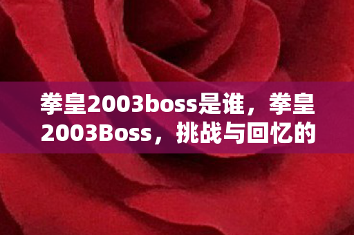 拳皇2003boss是谁，拳皇2003Boss，挑战与回忆的交织