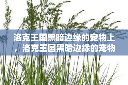 洛克王国黑暗边缘的宠物上，洛克王国黑暗边缘的宠物，探索未知与神秘的冒险之旅