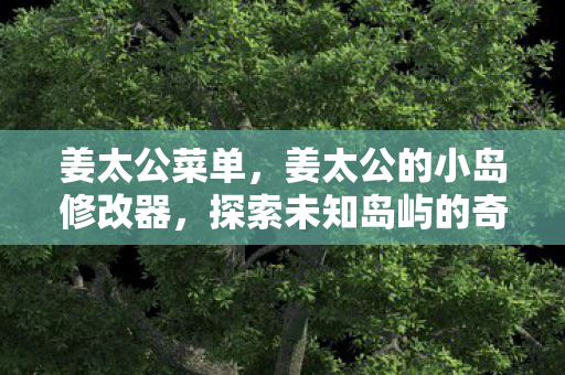 姜太公菜单，姜太公的小岛修改器，探索未知岛屿的奇妙之旅