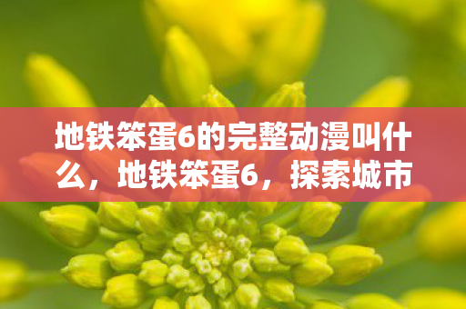 地铁笨蛋6的完整动漫叫什么，地铁笨蛋6，探索城市生活的另类视角