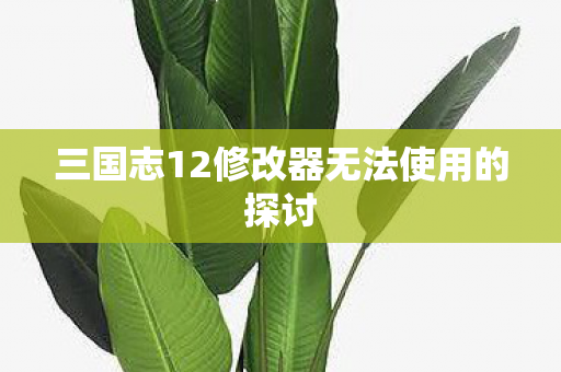 三国志12修改器无法使用的探讨