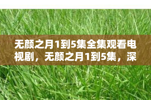 无颜之月1到5集全集观看电视剧，无颜之月1到5集，深度解析与观感分享
