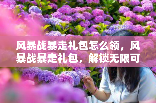 风暴战暴走礼包怎么领，风暴战暴走礼包，解锁无限可能的战斗之旅