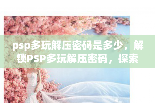 psp多玩解压密码是多少，解锁PSP多玩解压密码，探索游戏世界的无限可能