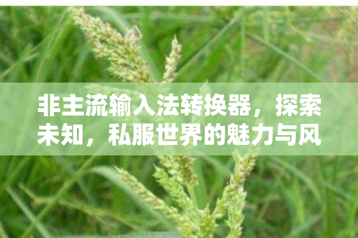 非主流输入法转换器，探索未知，私服世界的魅力与风险