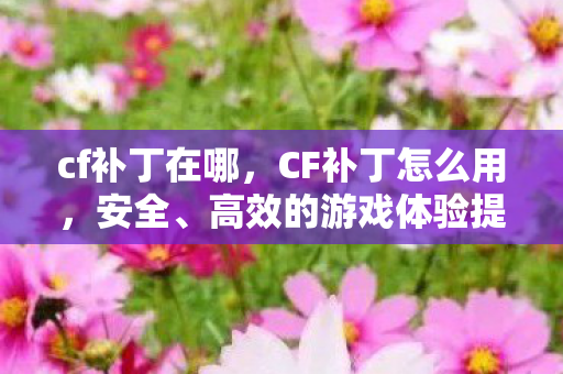 cf补丁在哪，CF补丁怎么用，安全、高效的游戏体验提升指南