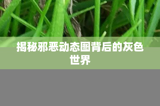 揭秘邪恶动态图背后的灰色世界