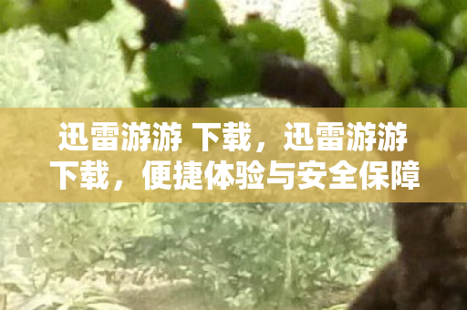 迅雷游游 下载，迅雷游游下载，便捷体验与安全保障的完美结合