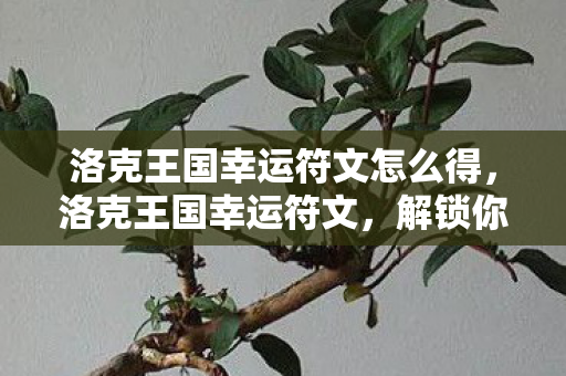 洛克王国幸运符文怎么得，洛克王国幸运符文，解锁你的魔法之旅