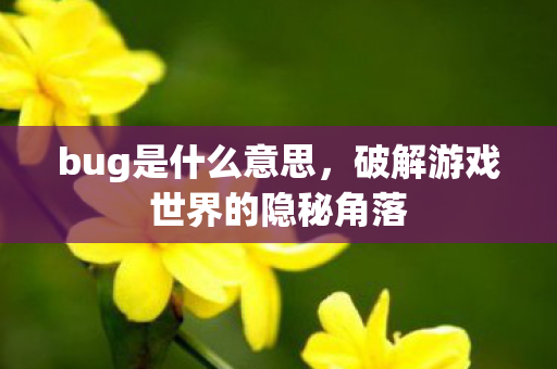 bug是什么意思，破解游戏世界的隐秘角落