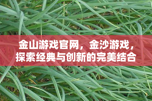 金山游戏官网，金沙游戏，探索经典与创新的完美结合
