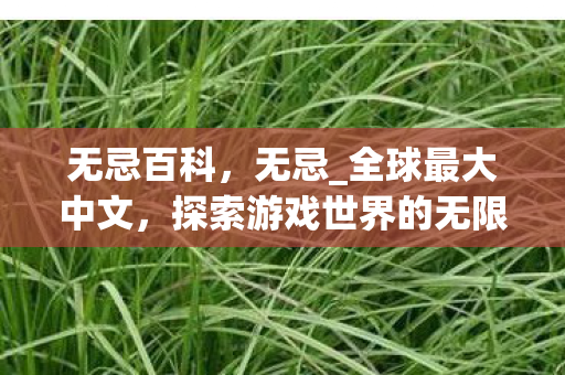 无忌百科，无忌_全球最大中文，探索游戏世界的无限可能