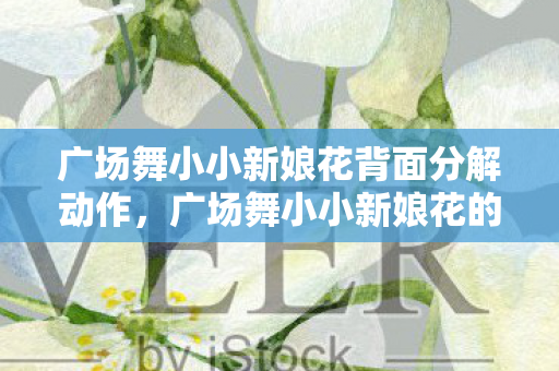 广场舞小小新娘花背面分解动作，广场舞小小新娘花的魅力和影响