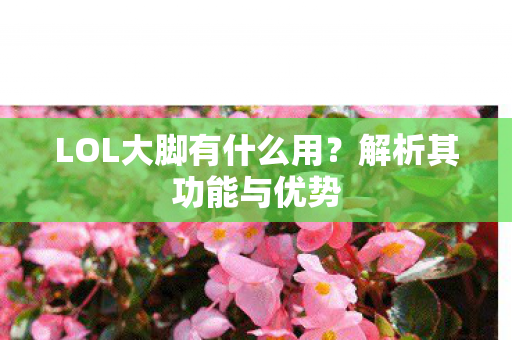 LOL大脚有什么用?解析其功能与优势 LOL大脚有什么用?解析其功能与优势