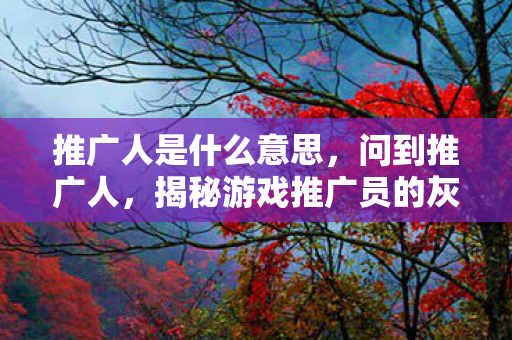 推广人是什么意思，问到推广人，揭秘游戏推广员的灰色地带与合规之路