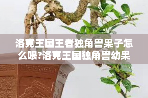 洛克王国王者独角兽果子怎么喂?洛克王国独角兽幼果的神奇用途