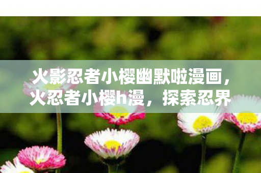 火影忍者小樱幽默啦漫画，火忍者小樱h漫，探索忍界中的激情与冒险