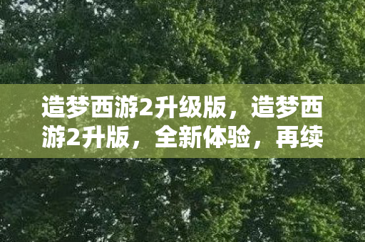 造梦西游2升级版，造梦西游2升版，全新体验，再续经典