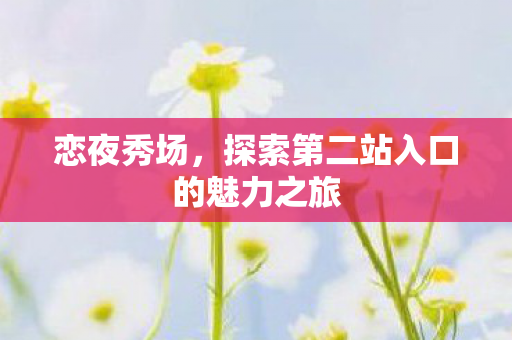 恋夜秀场，探索第二站入口的魅力之旅
