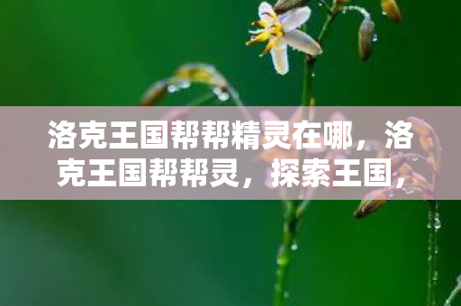 洛克王国帮帮精灵在哪，洛克王国帮帮灵，探索王国，共筑梦想