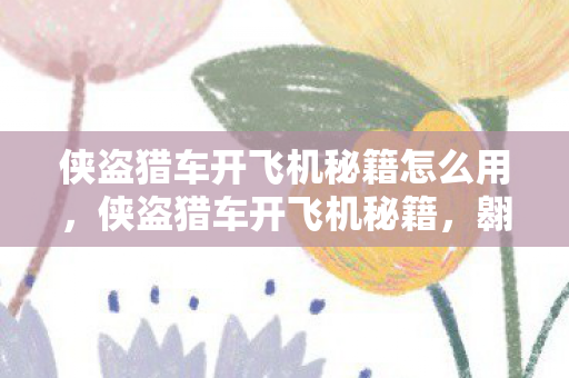 侠盗猎车开飞机秘籍怎么用，侠盗猎车开飞机秘籍，翱翔天际的飞行技巧
