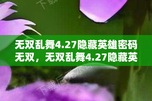 无双乱舞4.27隐藏英雄密码无双，无双乱舞4.27隐藏英雄密码揭秘，解锁未知力量的神秘钥匙