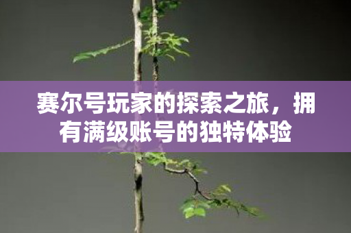 赛尔号玩家的探索之旅，拥有满级账号的独特体验