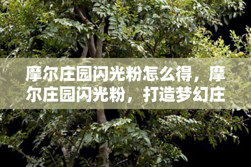 摩尔庄园闪光粉怎么得，摩尔庄园闪光粉，打造梦幻庄园的魔法尘埃