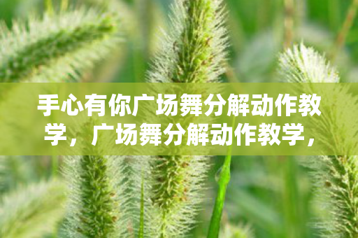 手心有你广场舞分解动作教学，广场舞分解动作教学，轻松掌握优雅舞步