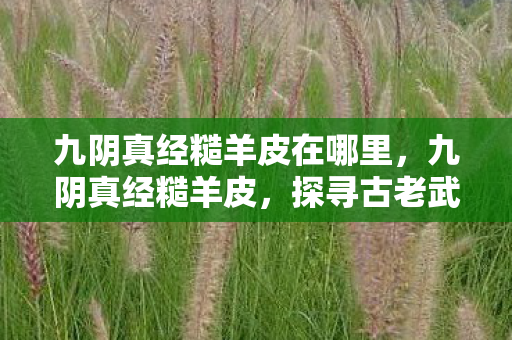 九阴真经糙羊皮在哪里，九阴真经糙羊皮，探寻古老武学的珍贵遗物