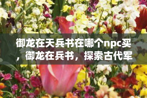 御龙在天兵书在哪个npc买，御龙在兵书，探索古代军事智慧的深度解析