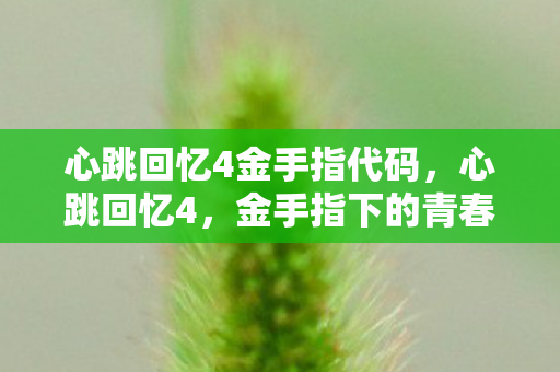 心跳回忆4金手指代码，心跳回忆4，金手指下的青春回忆