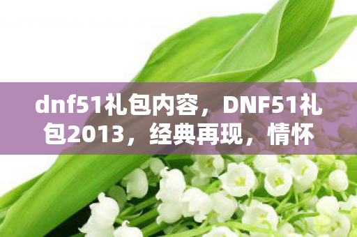 dnf51礼包内容，DNF51礼包2013，经典再现，情怀与实力并存
