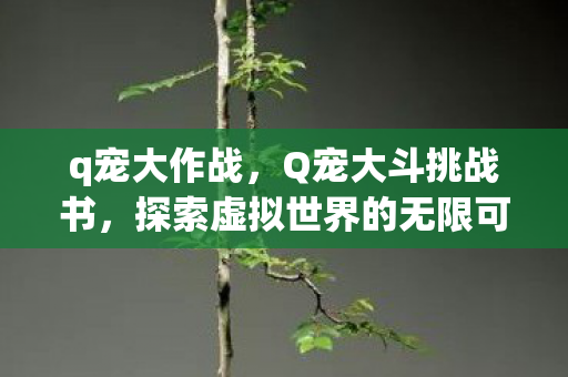 q宠大作战，Q宠大斗挑战书，探索虚拟世界的无限可能
