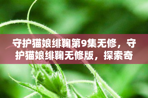 守护猫娘绯鞠第9集无修，守护猫娘绯鞠无修版，探索奇幻世界的奇妙之旅