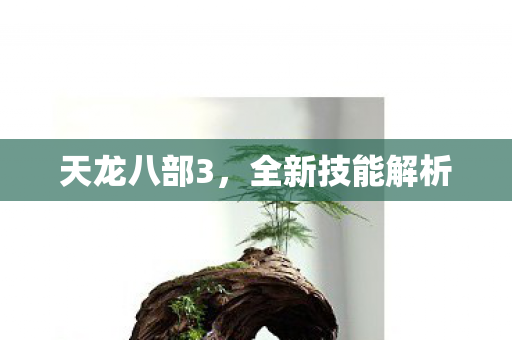 天龙八部3，全新技能解析