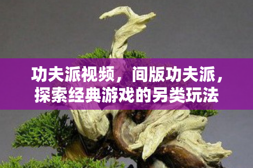 功夫派视频，间版功夫派，探索经典游戏的另类玩法