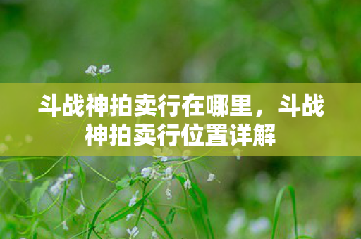 斗战神拍卖行在哪里，斗战神拍卖行位置详解