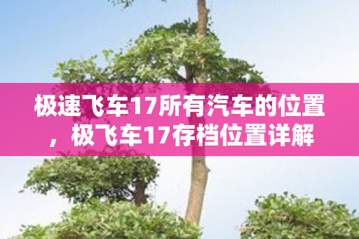 极速飞车17所有汽车的位置，极飞车17存档位置详解