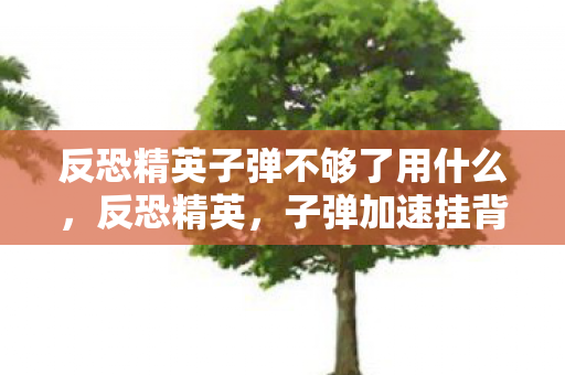 反恐精英子弹不够了用什么，反恐精英，子弹加速挂背后的技术解析与合法使用探讨
