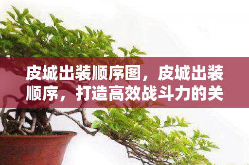皮城出装顺序图，皮城出装顺序，打造高效战斗力的关键