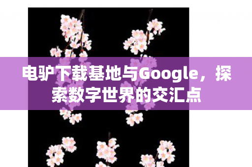 电驴下载基地与Google，探索数字世界的交汇点