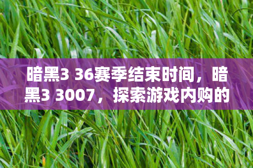 暗黑3 36赛季结束时间，暗黑3 3007，探索游戏内购的灰色边界