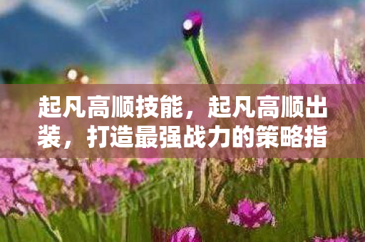起凡高顺技能，起凡高顺出装，打造最强战力的策略指南
