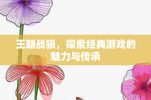 王朝战狼，探索经典游戏的魅力与传承