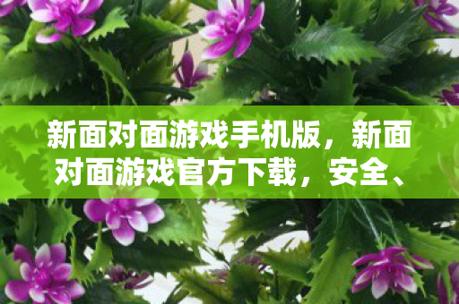 新面对面游戏手机版，新面对面游戏官方下载，安全、便捷的游戏体验