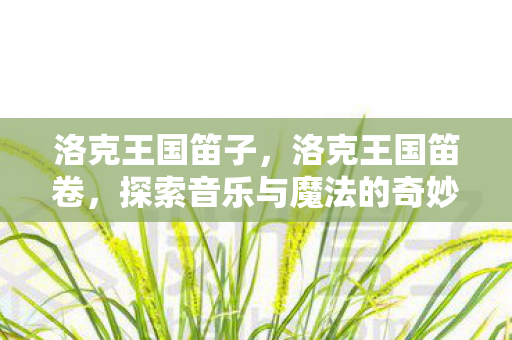 洛克王国笛子，洛克王国笛卷，探索音乐与魔法的奇妙融合