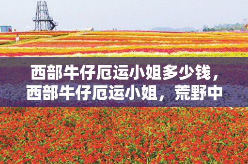 西部牛仔厄运小姐多少钱，西部牛仔厄运小姐，荒野中的孤独枪手