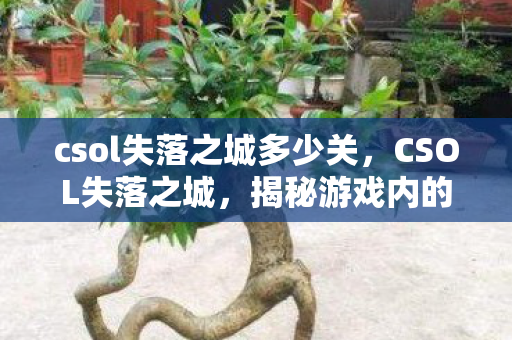 csol失落之城多少关，CSOL失落之城，揭秘游戏内的神秘BUG